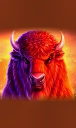Buffalo 50